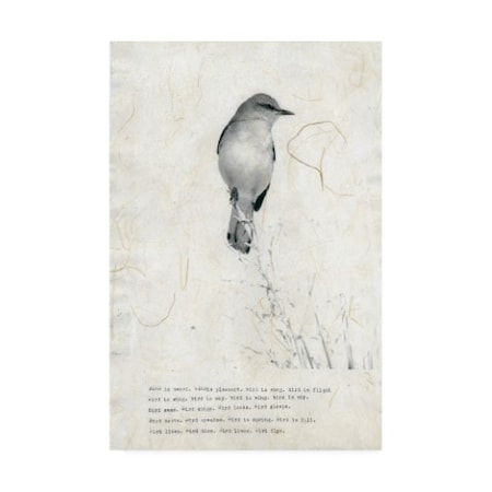 TypeLike 'Bird Is Sweet' Canvas Art,22x32
